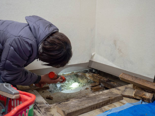 Best Mold Remediation for Healthcare Facilities  in Concord, CA
