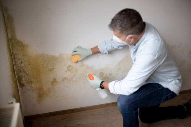 Best Indoor Air Quality Assessment  in Concord, CA