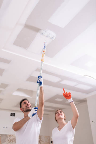 Best Residential Mold Inspection & Testing  in Concord, CA